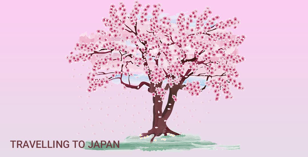 Traveling to Japan
